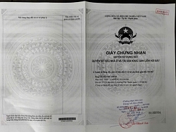 Chính chủ bán dãy trọ 18 phòng - 2 mặt tiền đường Huỳnh Tấn Phát, Phú Thuận, Q7, TP HCM